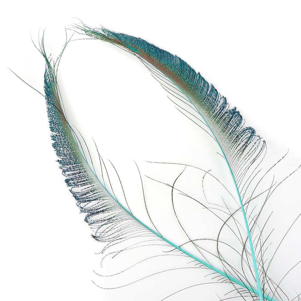 Peacock Swords Stem Dyed - Light Turquoise
