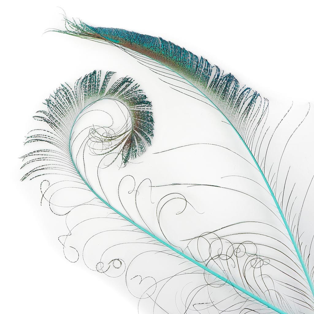 Peacock Swords Stem Dyed - Light Turquoise