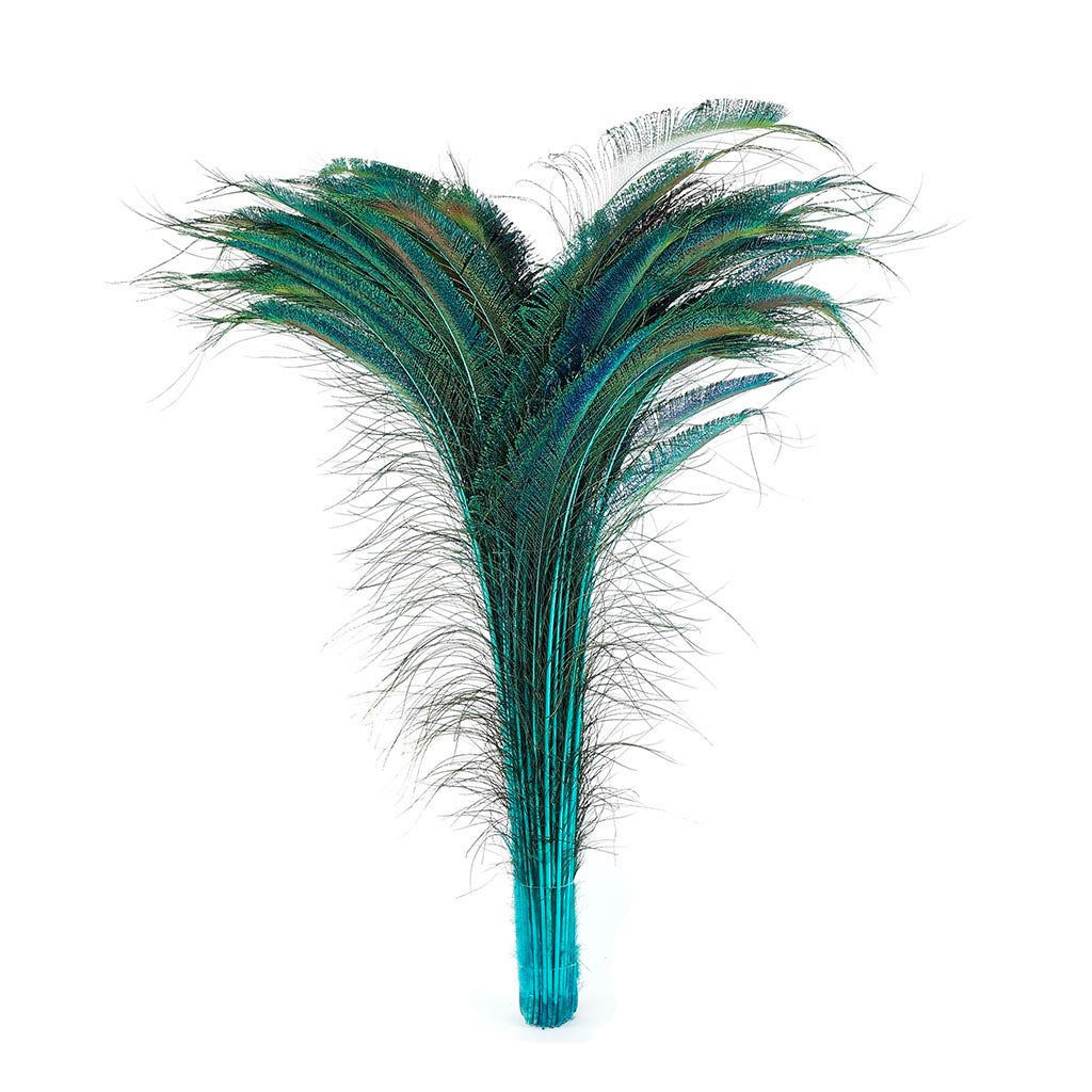 Bulk Peacock Sword Feathers Stem Dyed - 100 pc - 25-40" - Light Turquoise