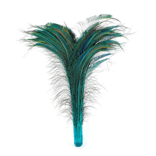 Bulk Peacock Sword Feathers Stem Dyed - 100 pc - 25-40" - Light Turquoise