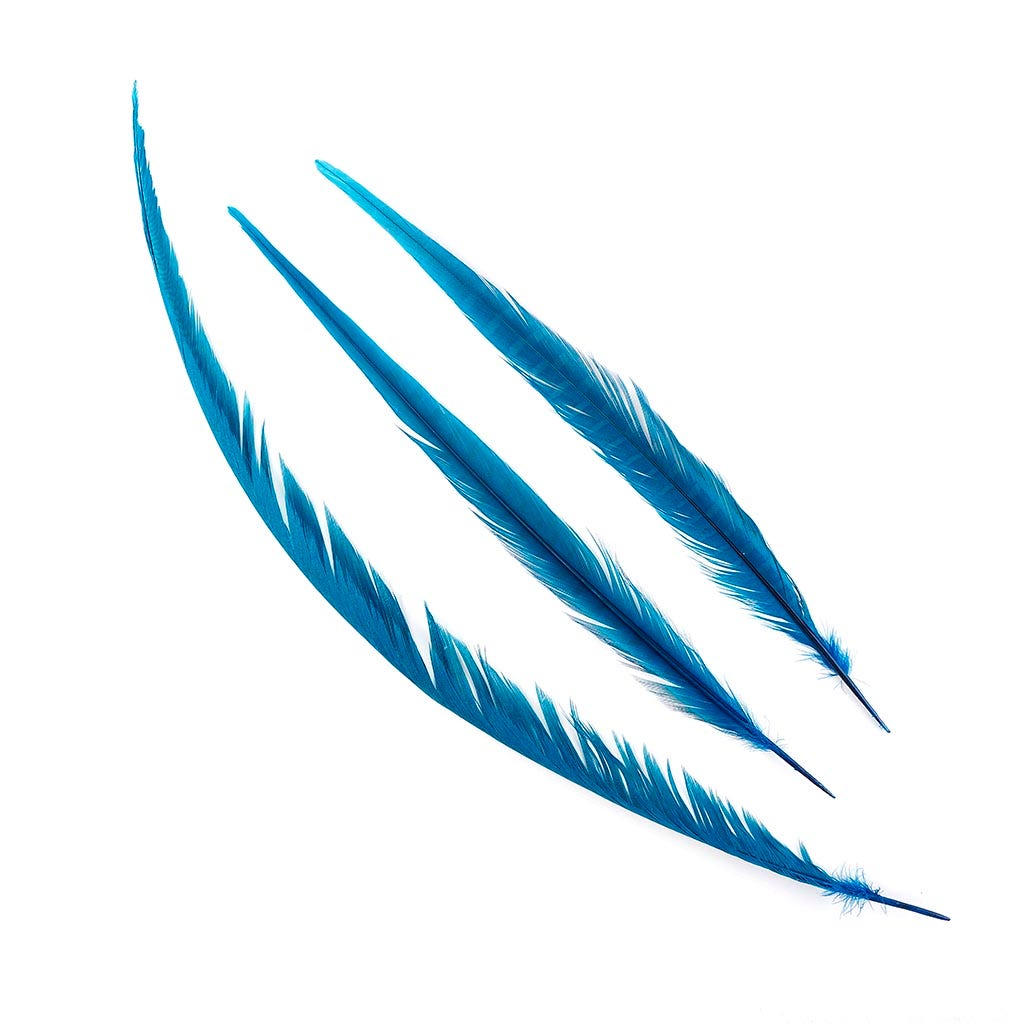 Assorted Pheasant Tails Dyed - Dark Turquoise