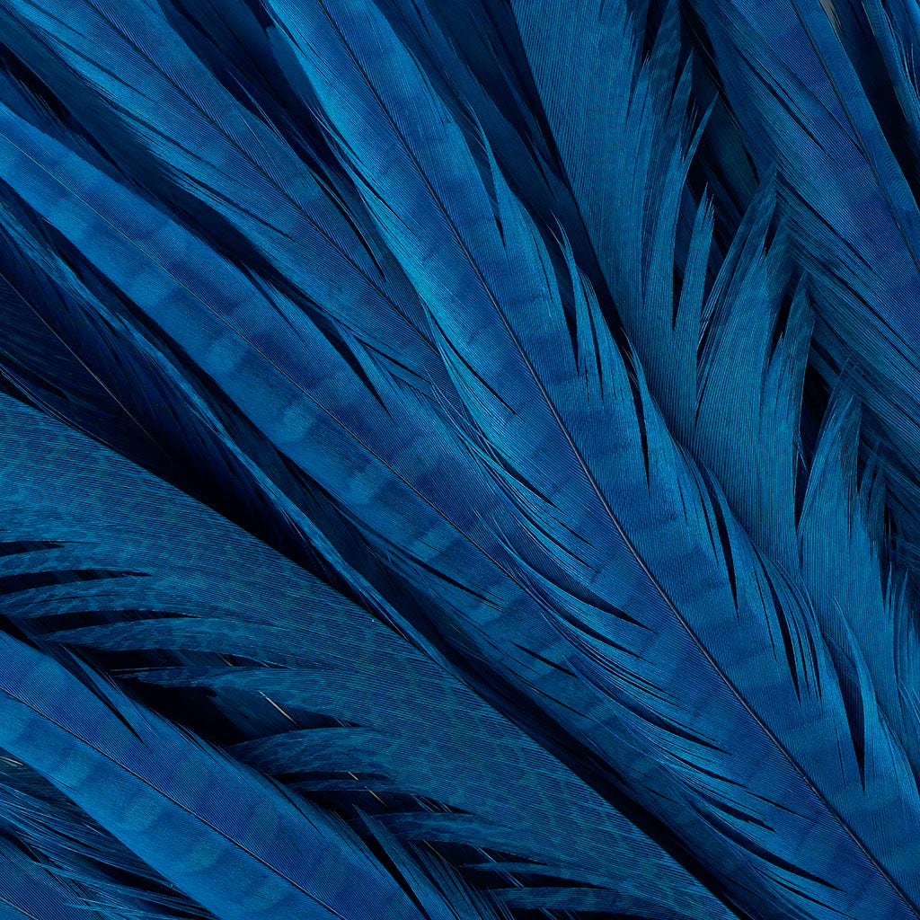 Assorted Pheasant Tails Dyed - Dark Turquoise