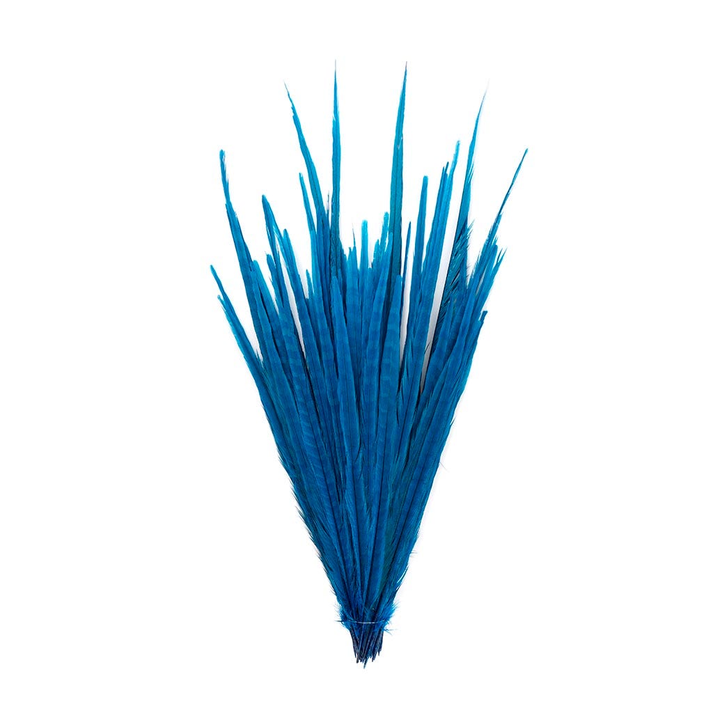 Assorted Pheasant Tails Dyed - Dark Turquoise