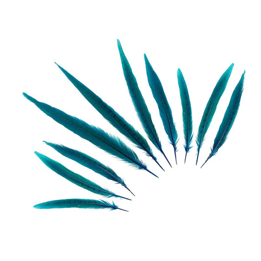 Pheasant Tails Assorted Bleached - Dark Turquoise