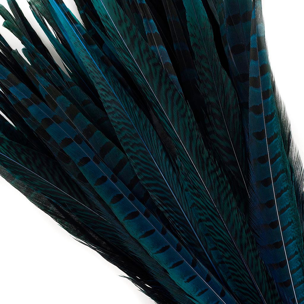 Pheasant Tails Assorted Bleached - Dark Turquoise