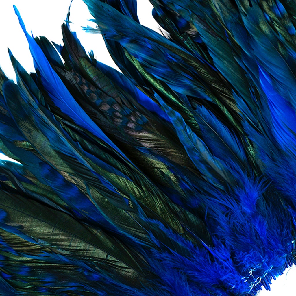 Rooster Coque Tails-Chinchilla - Dark Turquoise