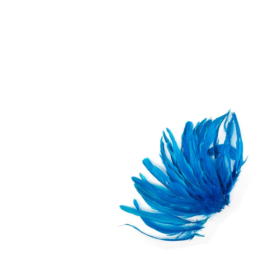 Rooster Coque Tails White-Dyed - Dark Turquoise