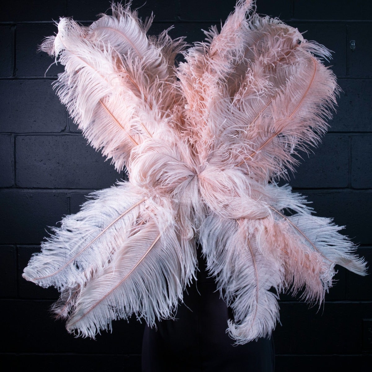 Medium Upcycled Ostrich Feather Costume Wings - Champagne