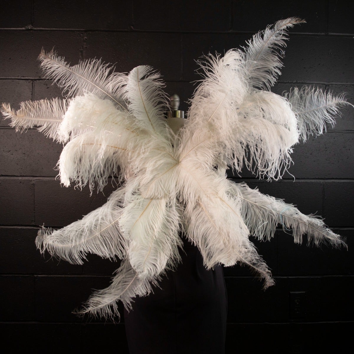 Medium Large Upcycled Ostrich Feather Costume Wings - White