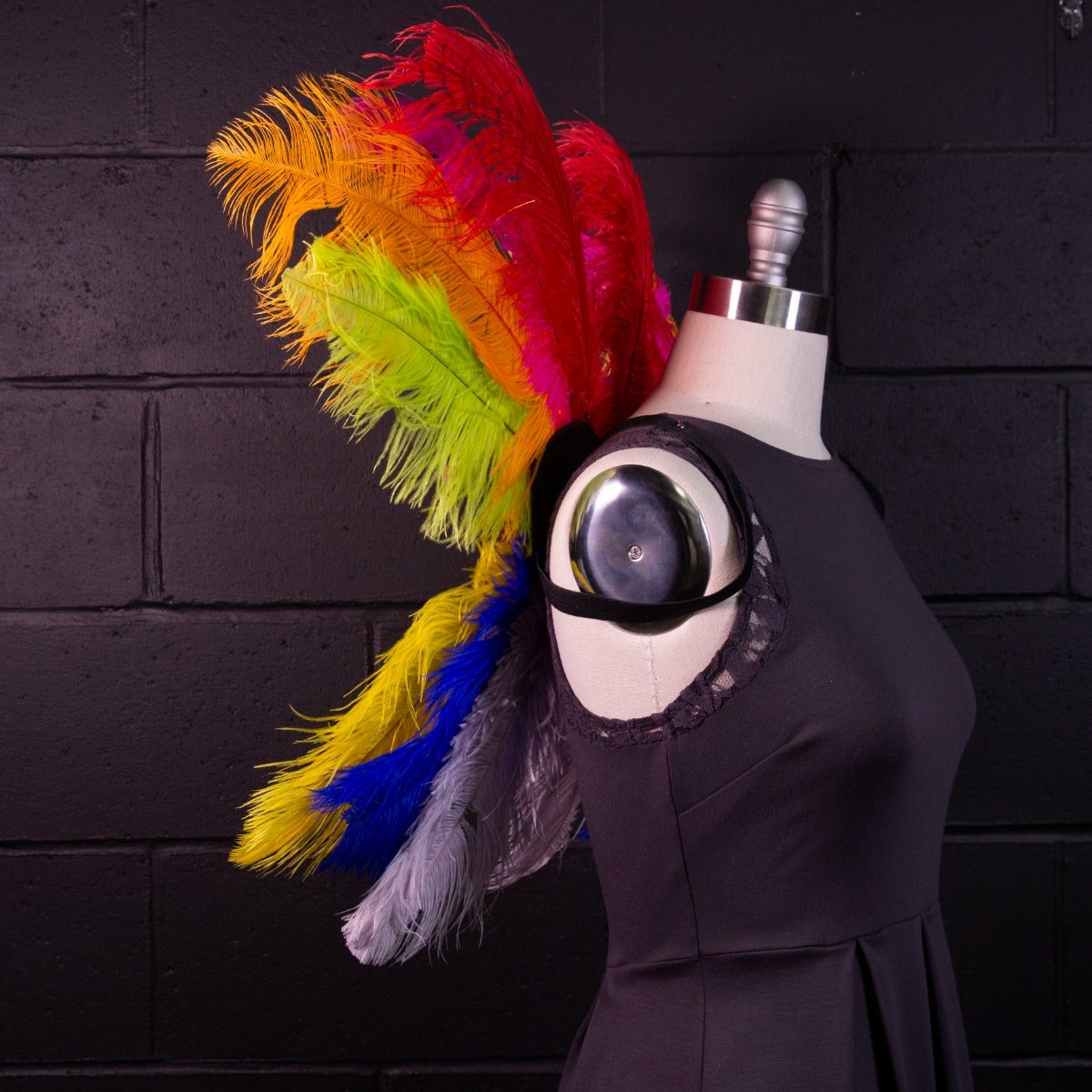 Medium Upcycled Ostrich Feather Costume Wings - Rainbow