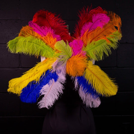 Medium Upcycled Ostrich Feather Costume Wings - Rainbow