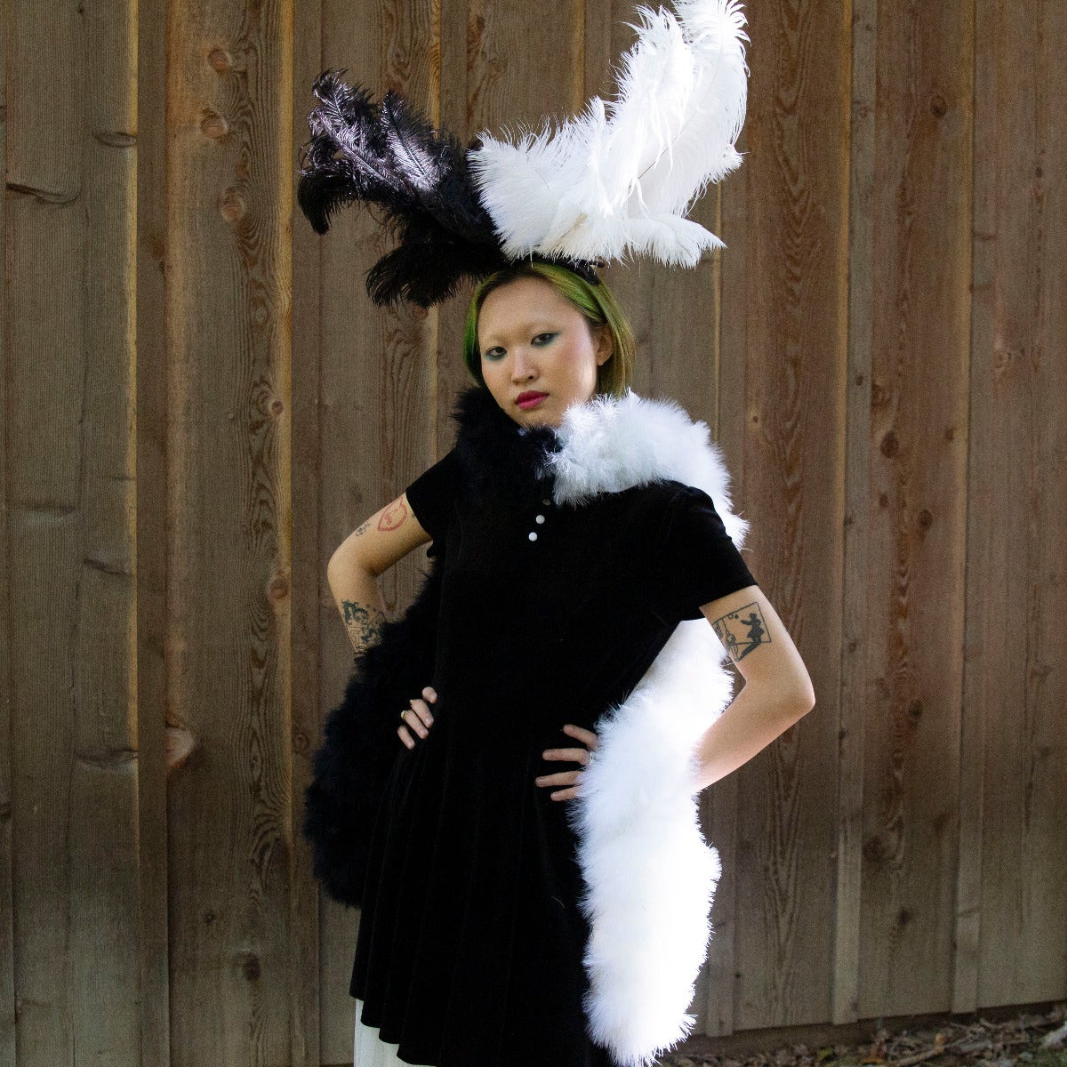 Cruella Inspired Black and White Boa