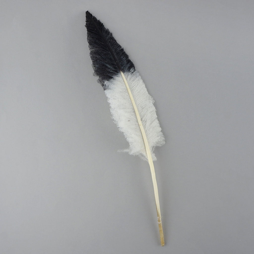 Ostrich Nandu Tipped Feathers Selected - White - Black