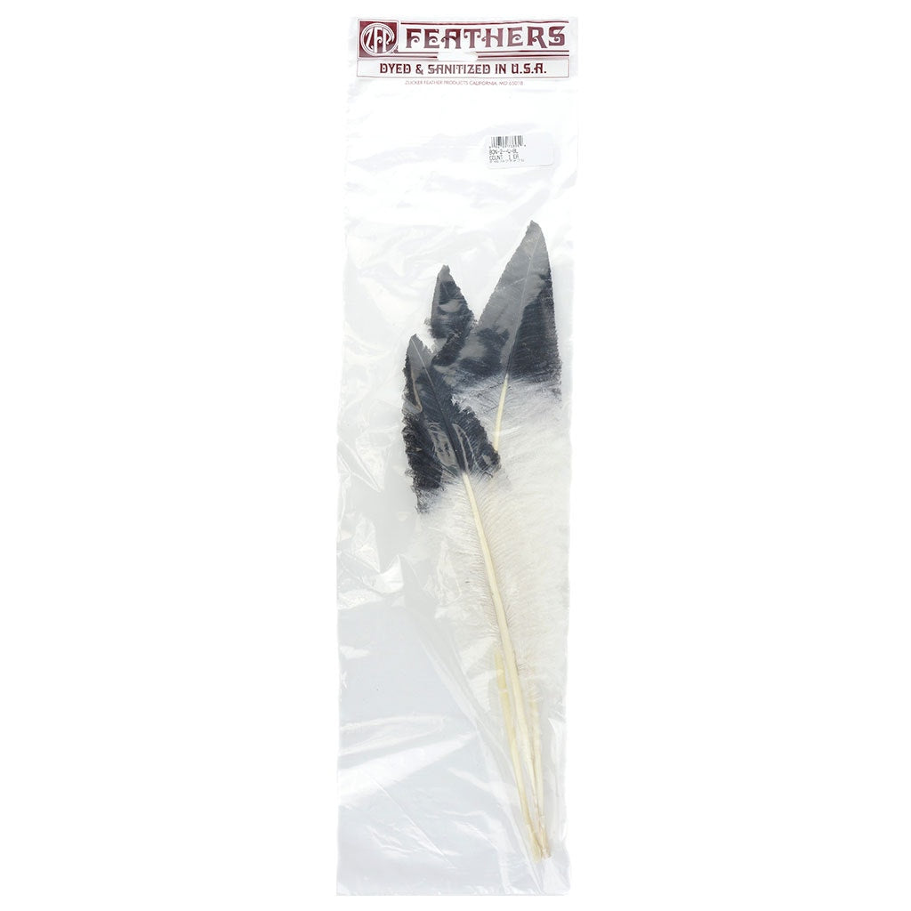 Ostrich Nandu Tipped Feathers Selected - White - Black