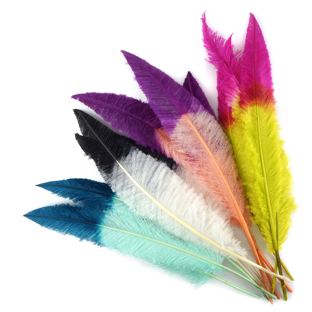 Ostrich Nandu Tipped Feathers Selected - White - Black
