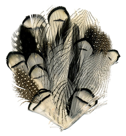 Silver-Guinea-Hackle Pad - Natural
