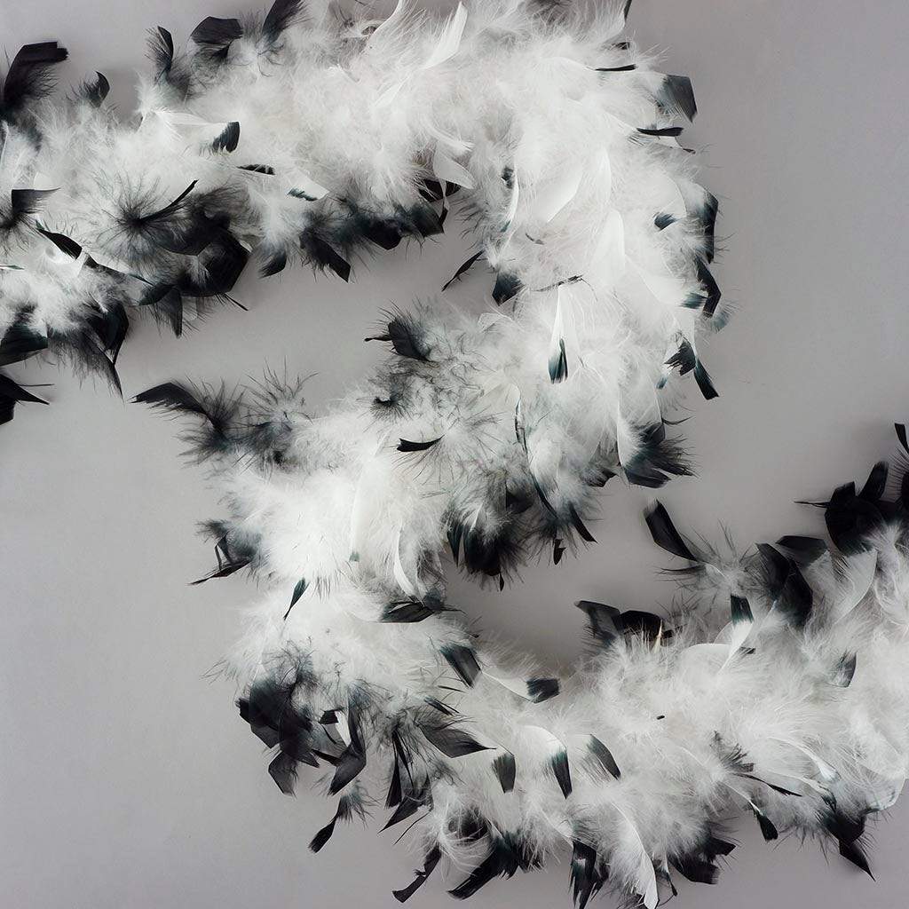 Chandelle Feather Boa - Lightweight - Tipped White/Black