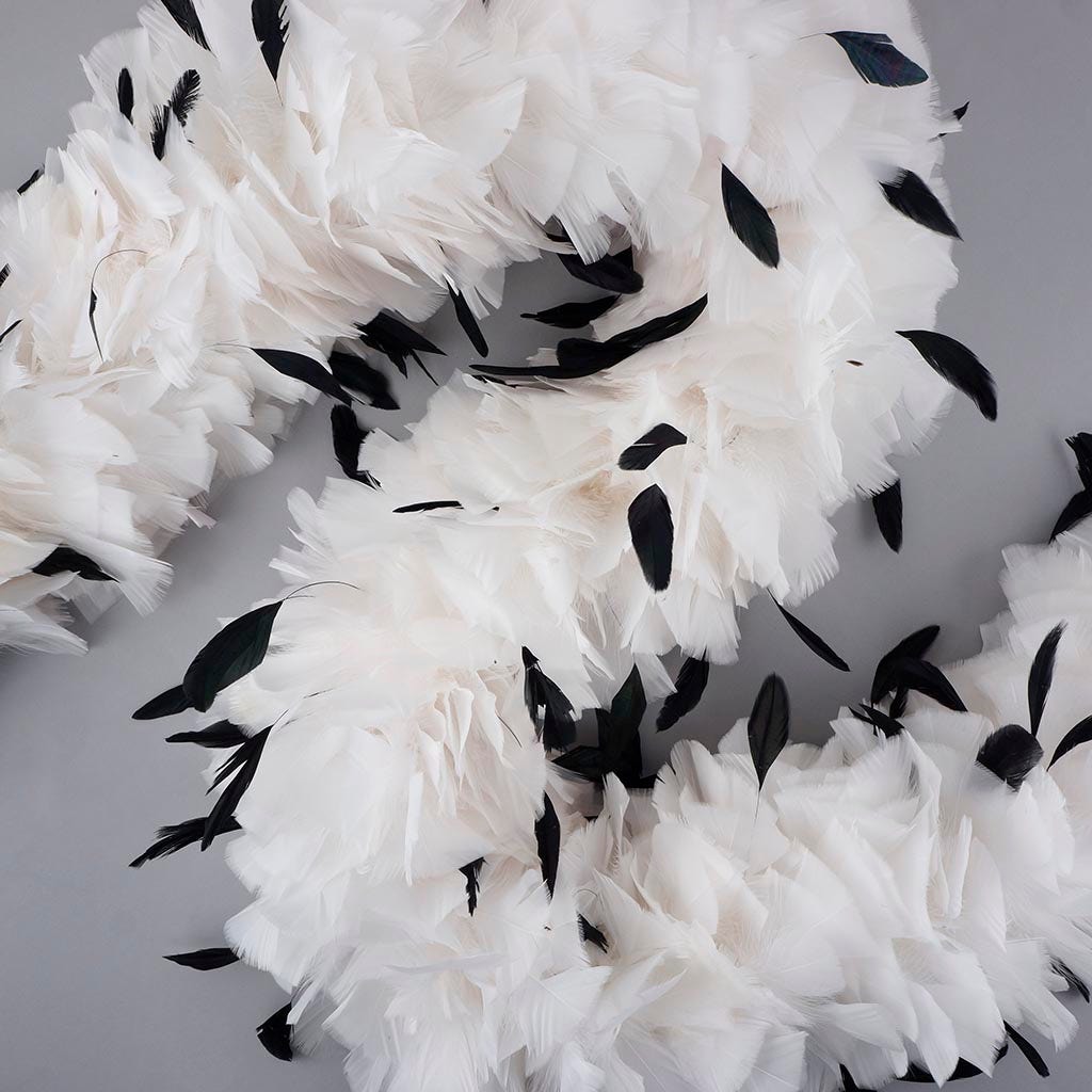 Turkey Feather Boa with Stripped Coque - White/Black
