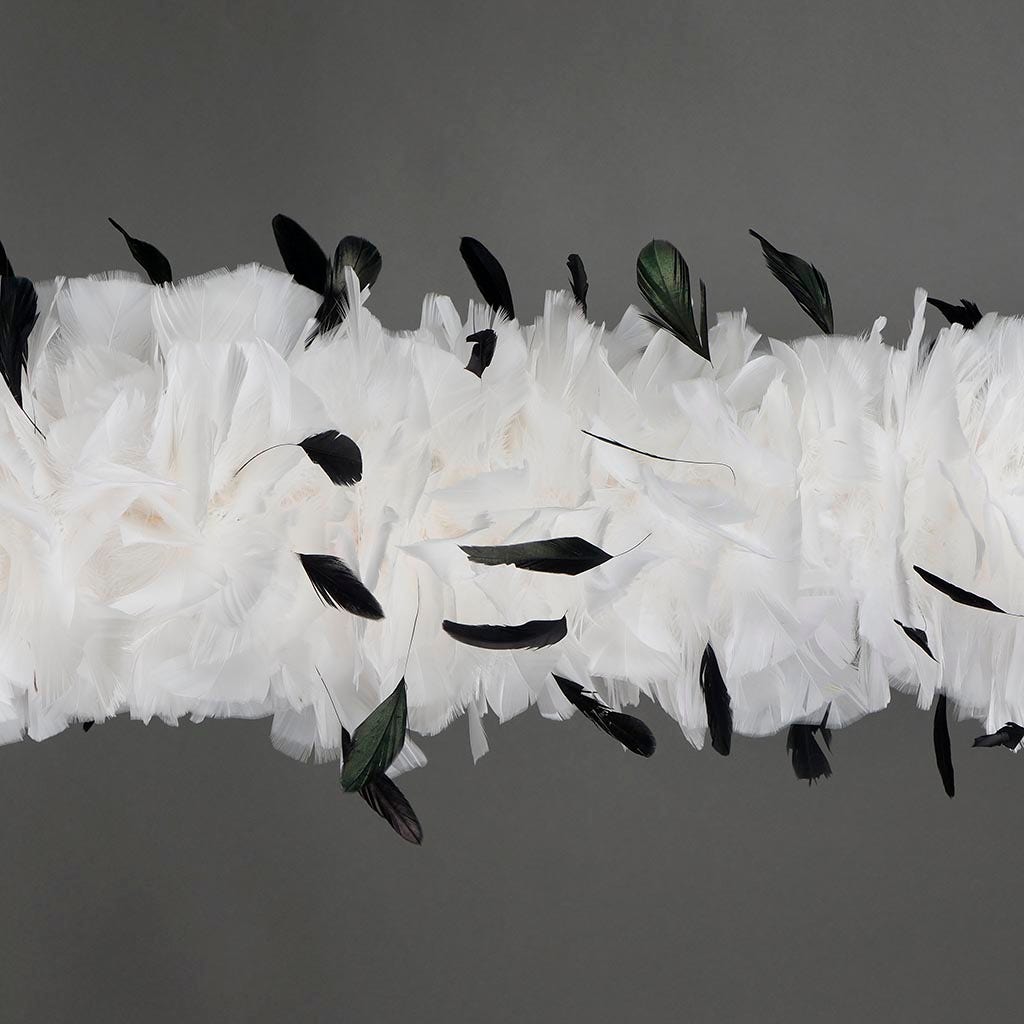 Turkey Feather Boa with Stripped Coque - White/Black