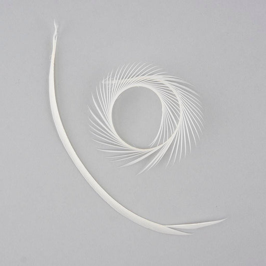 Loose Goose Biots Dyed - White