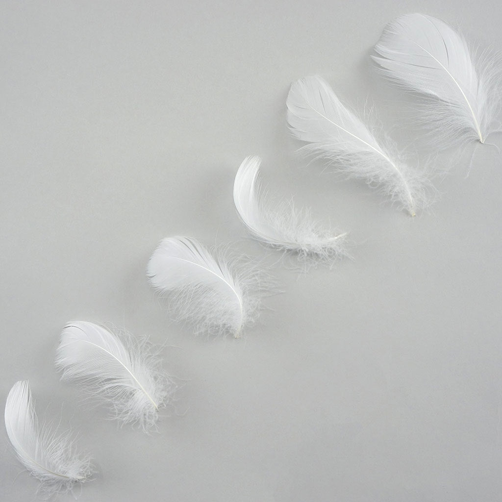Bulk Goose Coquille Feathers Dyed - White - 1/4 lb