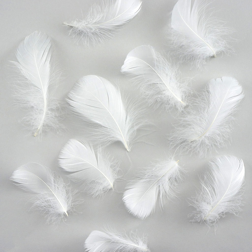 Bulk Goose Coquille Feathers Dyed - White - 1/4 lb