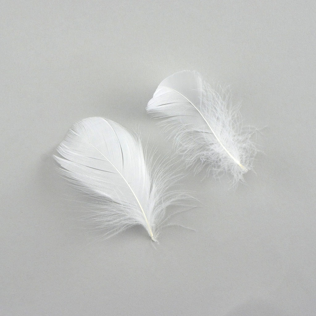 Bulk Goose Coquille Feathers Dyed - White - 1/4 lb