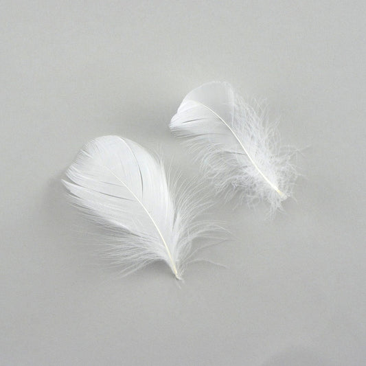 Bulk Goose Coquille Feathers Dyed - White - 1/4 lb