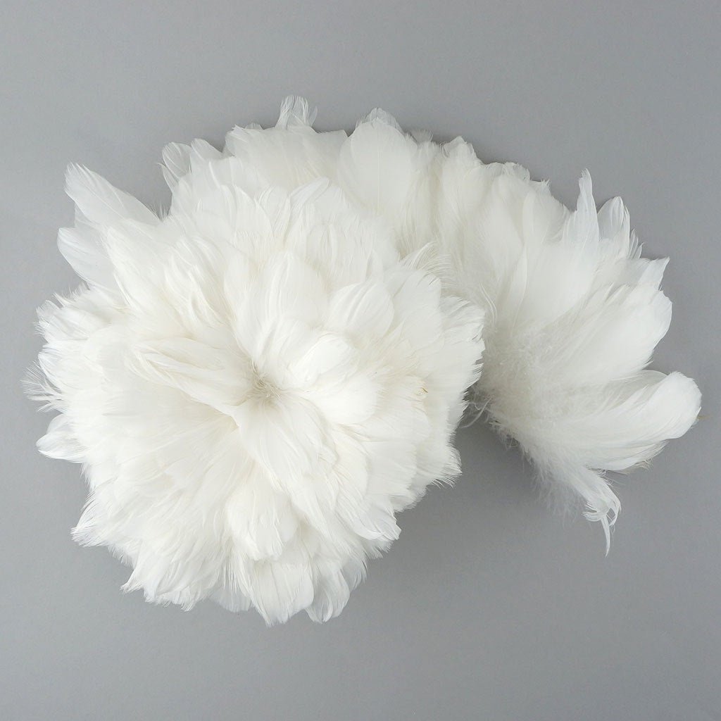 Goose Coquille Feathers Dyed White