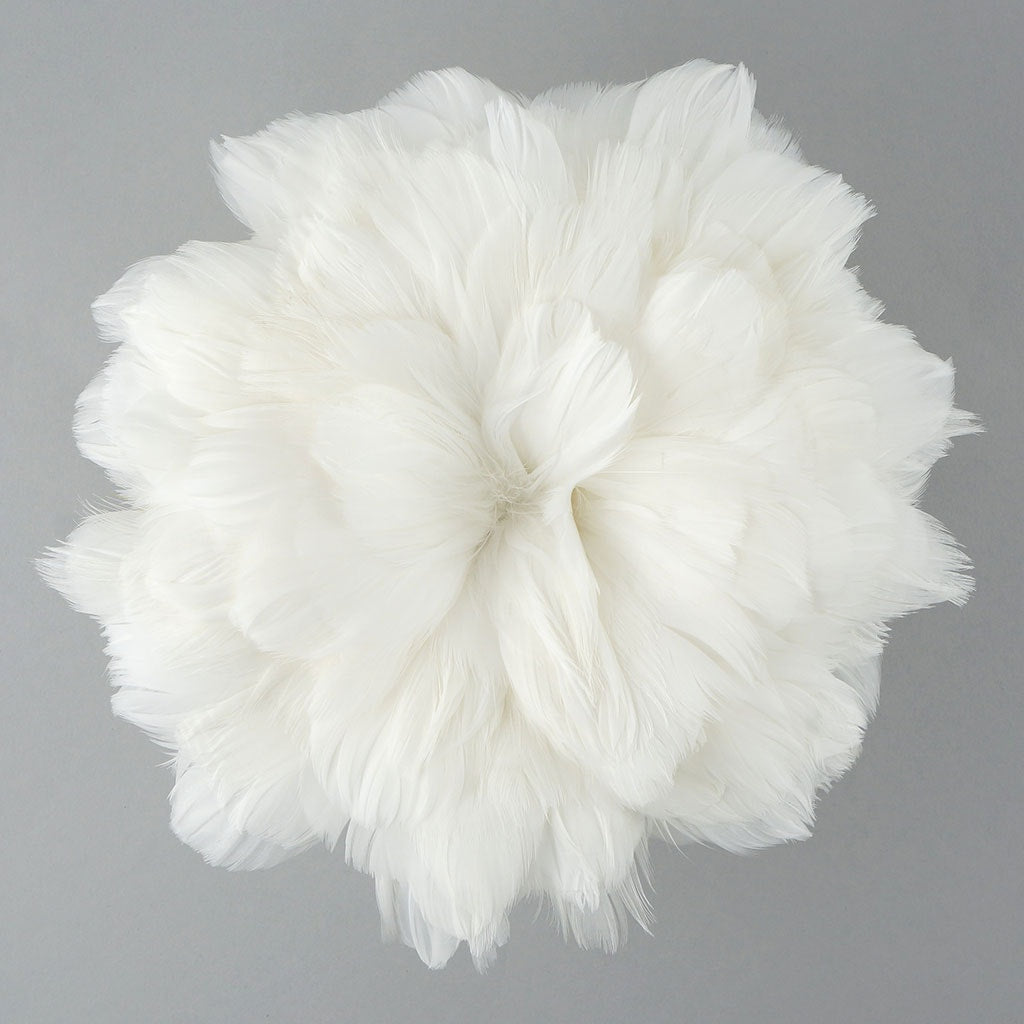 Goose Coquille Feathers Dyed White
