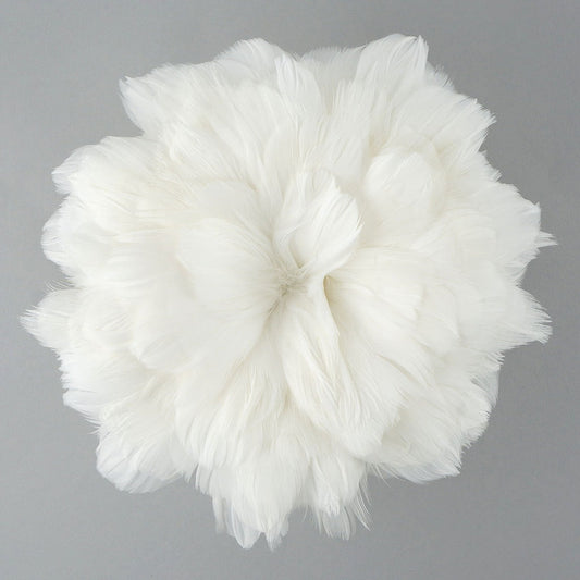Goose Coquille Feathers Dyed White
