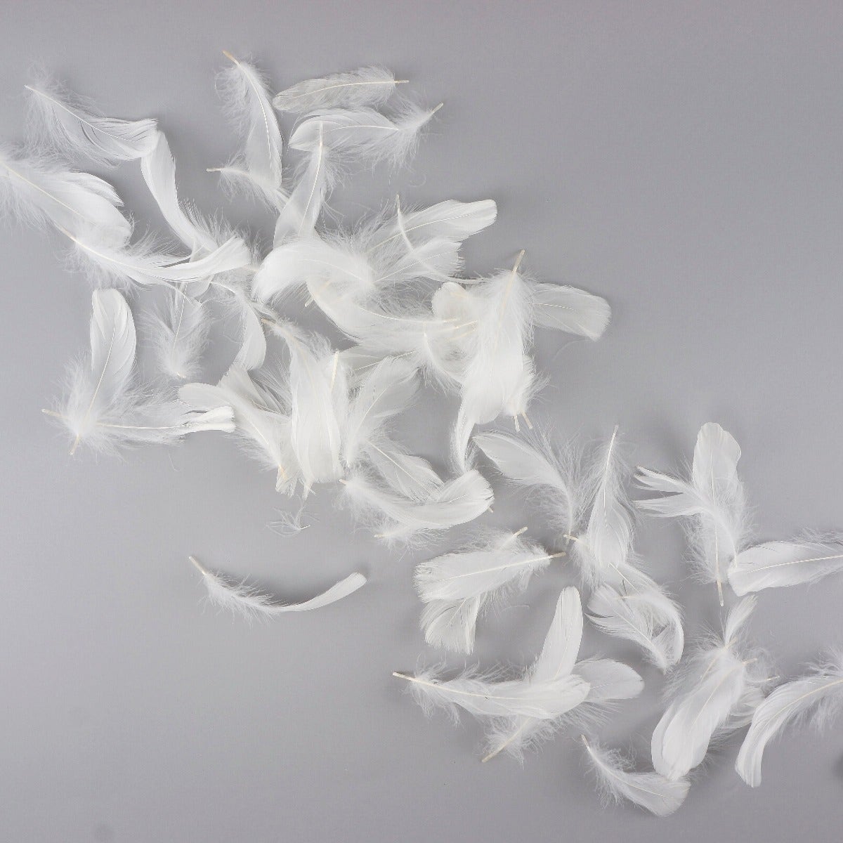 Goose Nagoire Loose 4-6" White