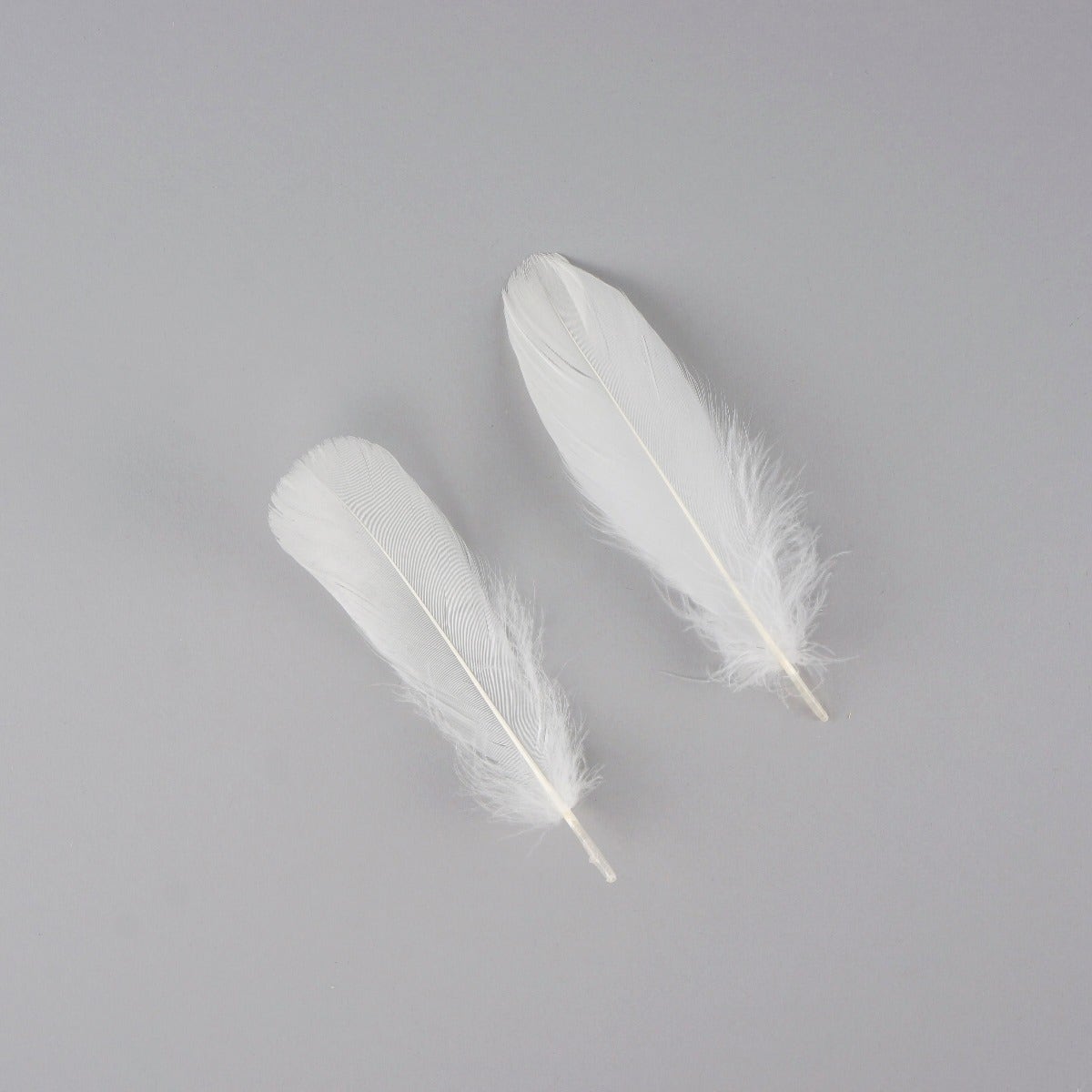 Goose Nagoire Loose 4-6" White