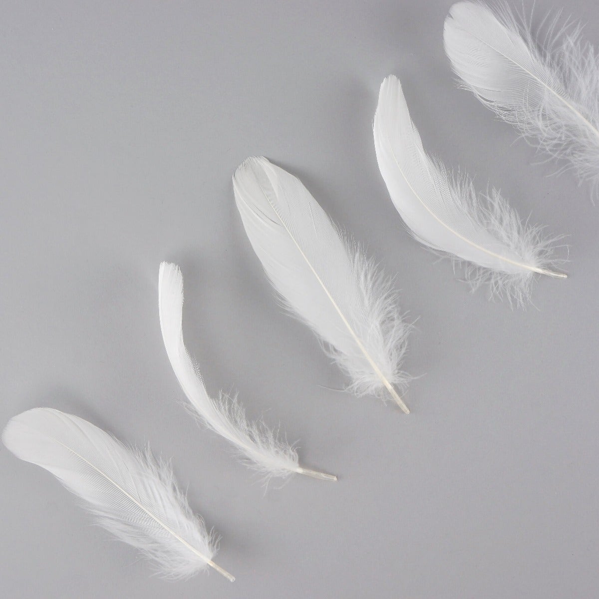 Goose Nagoire Loose 4-6" White