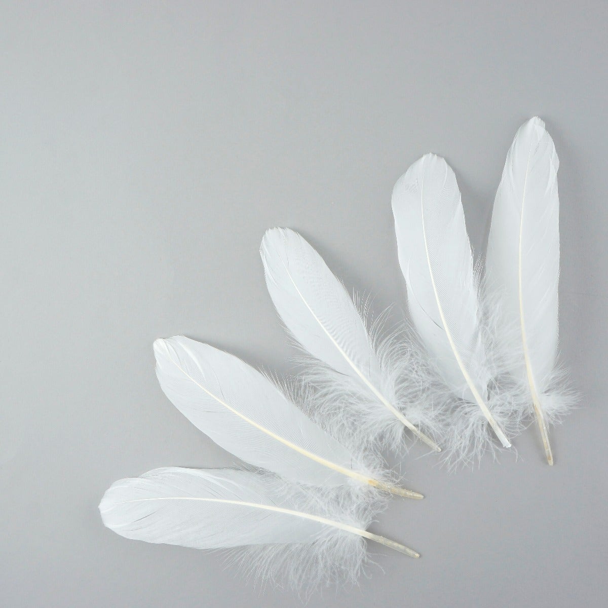 Goose Pallet Feathers 6-8" - 12 pc - White