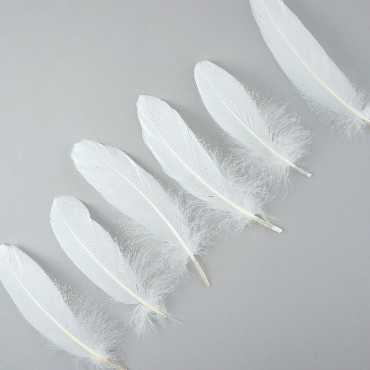 Goose Pallet Feathers 6-8" - 12 pc - White