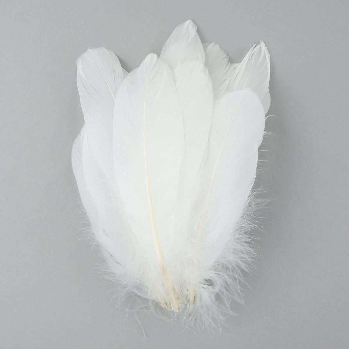 Goose Pallet Feathers 6-8" - 12 pc - White