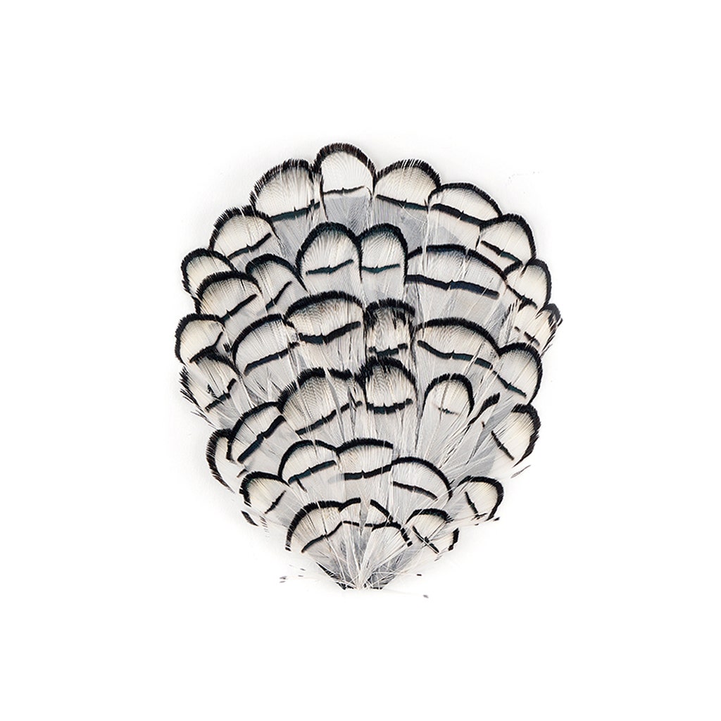 White-Black-Lady Amherst Pad - Natural
