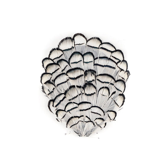 White-Black-Lady Amherst Pad - Natural