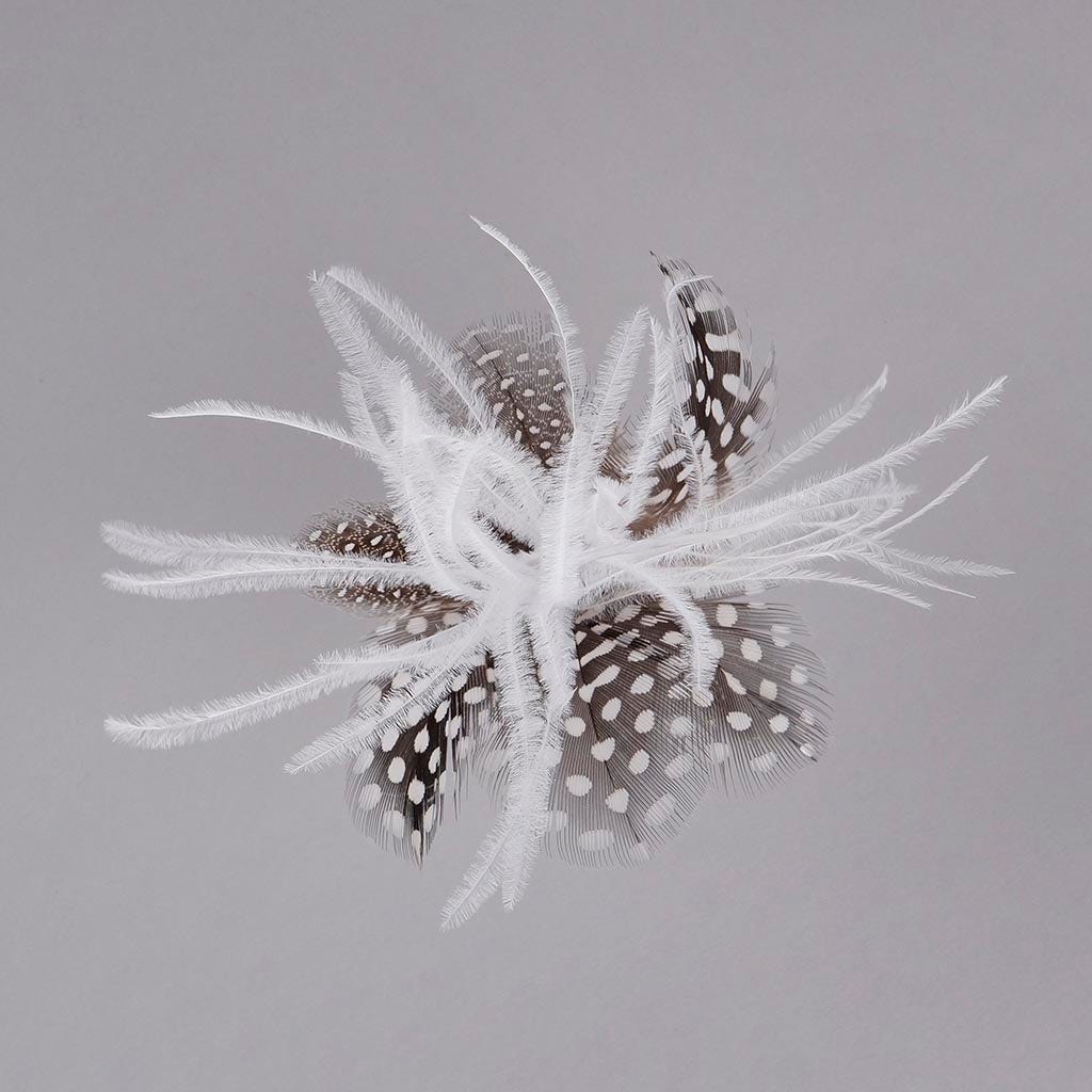 Feather Floral Pick w/Ostrich - Guinea -Biot - White/Natural