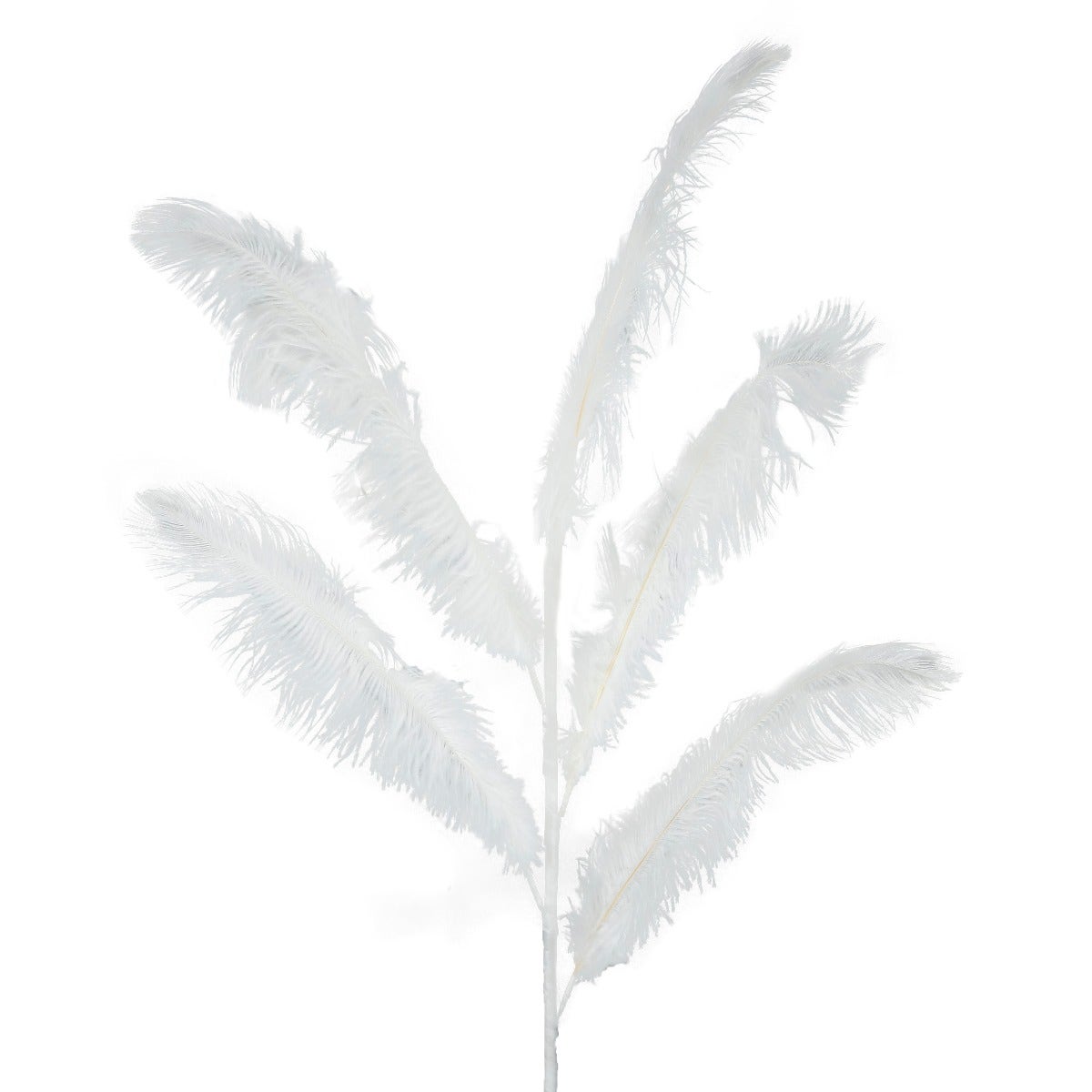Feather Ostrich Spray on Stem White