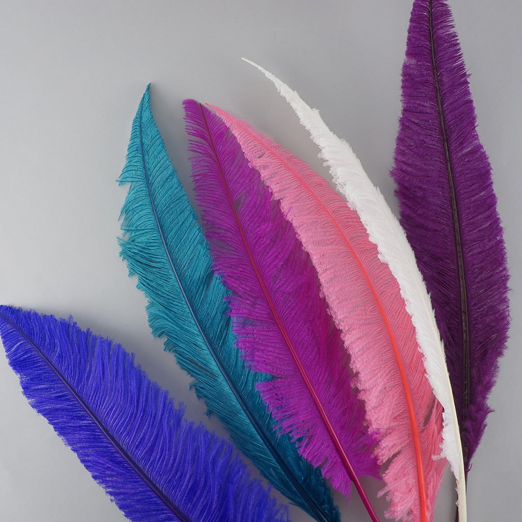 Ostrich Nandu Selected Feathers 12 PCS - White