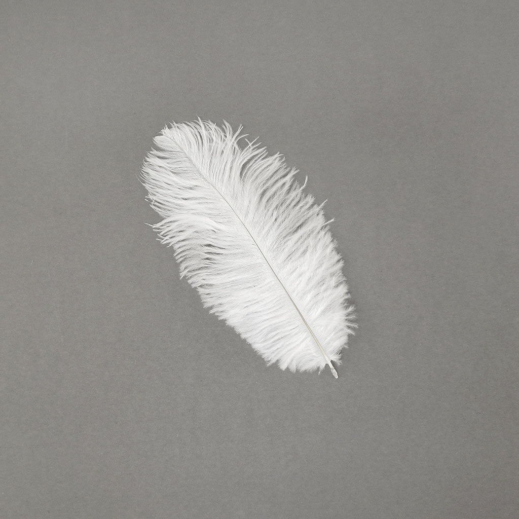 Ostrich Feathers 9-12" Drabs -  White