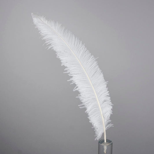 Ostrich Spad Feathers Trimmed w/Natural Markings White