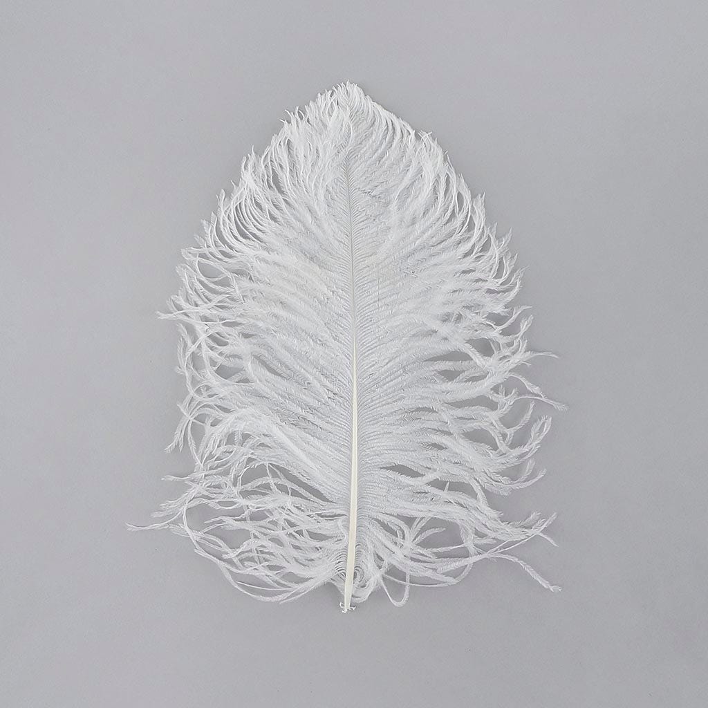 Ostrich Tail Feathers - Cut Tops 5-11 inch - 12 pcs - White