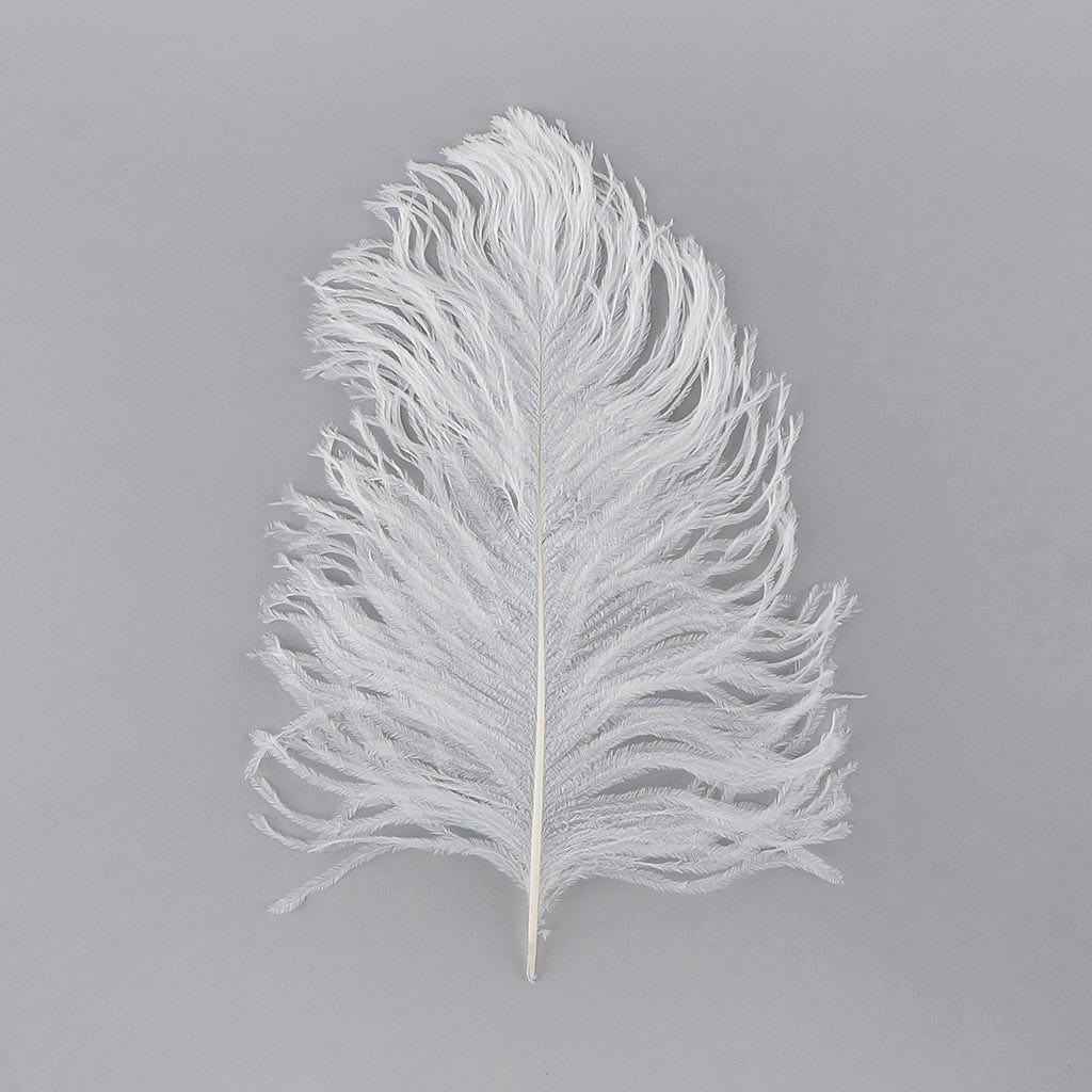 Ostrich Tail Feathers - Cut Tops 5-11 inch - 12 pcs - White