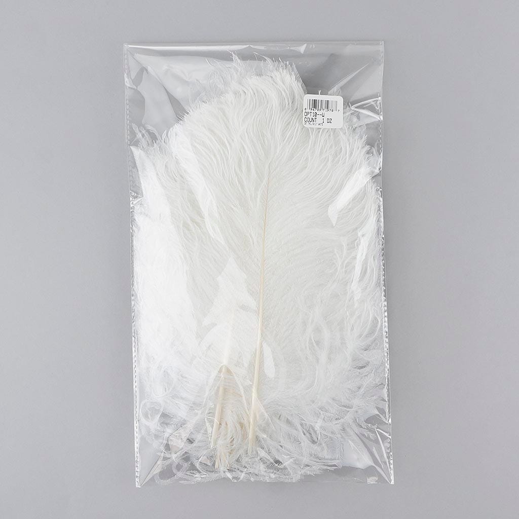Ostrich Tail Feathers - Cut Tops 5-11 inch - 12 pcs - White
