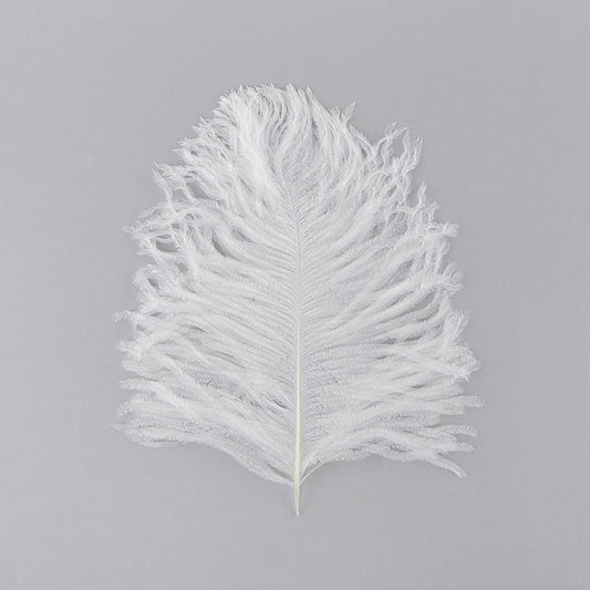 Ostrich Tail Feathers - Cut Tops 5-11 inch - 12 pcs - White