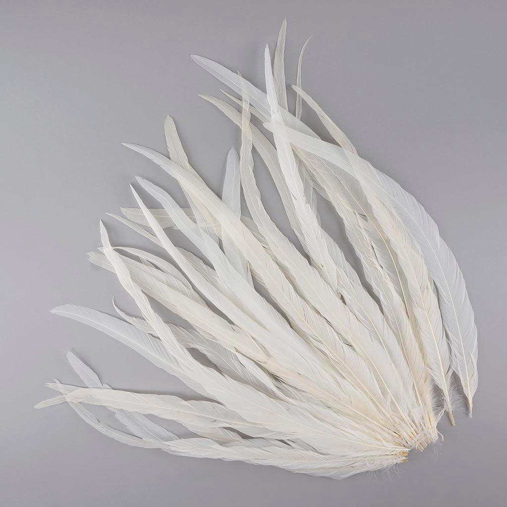 Rooster Coque Tails White - 15 - 18" - 25pcs