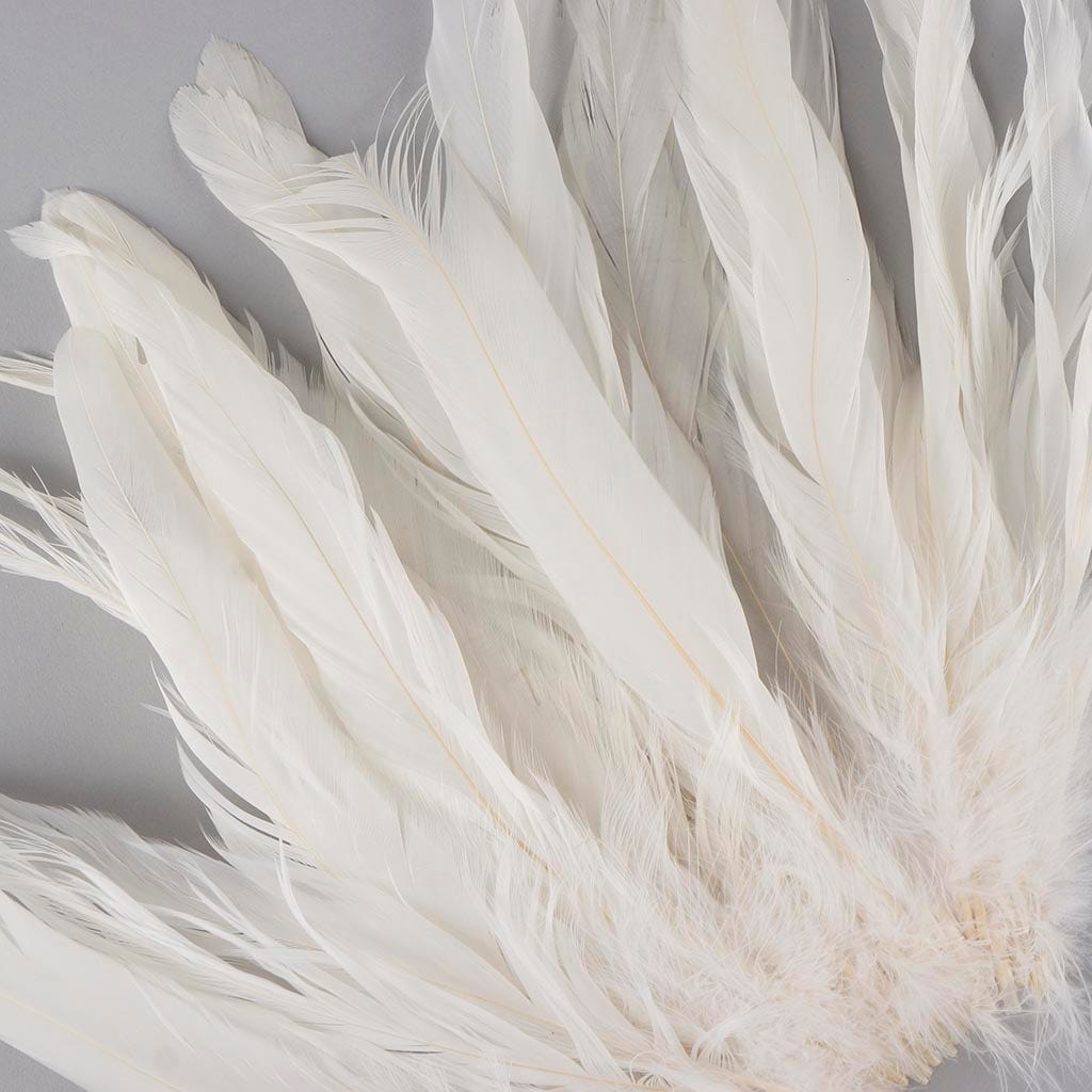Rooster Coque Tails White-Dyed - White